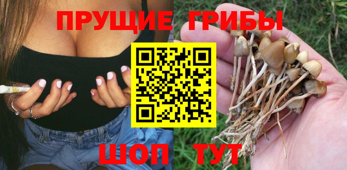 Псилоцибиновые грибы Psilocybine cubensis  Вход с VPN  Казань 